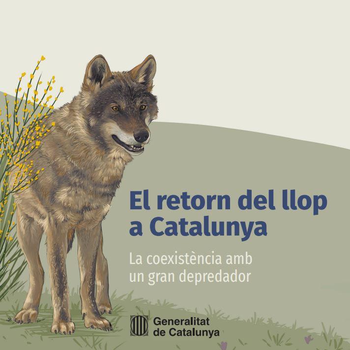 El retorn del Llop a Catalunya